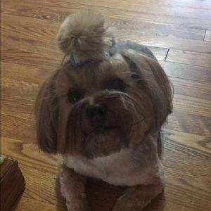 Meet your Posher, Ashley